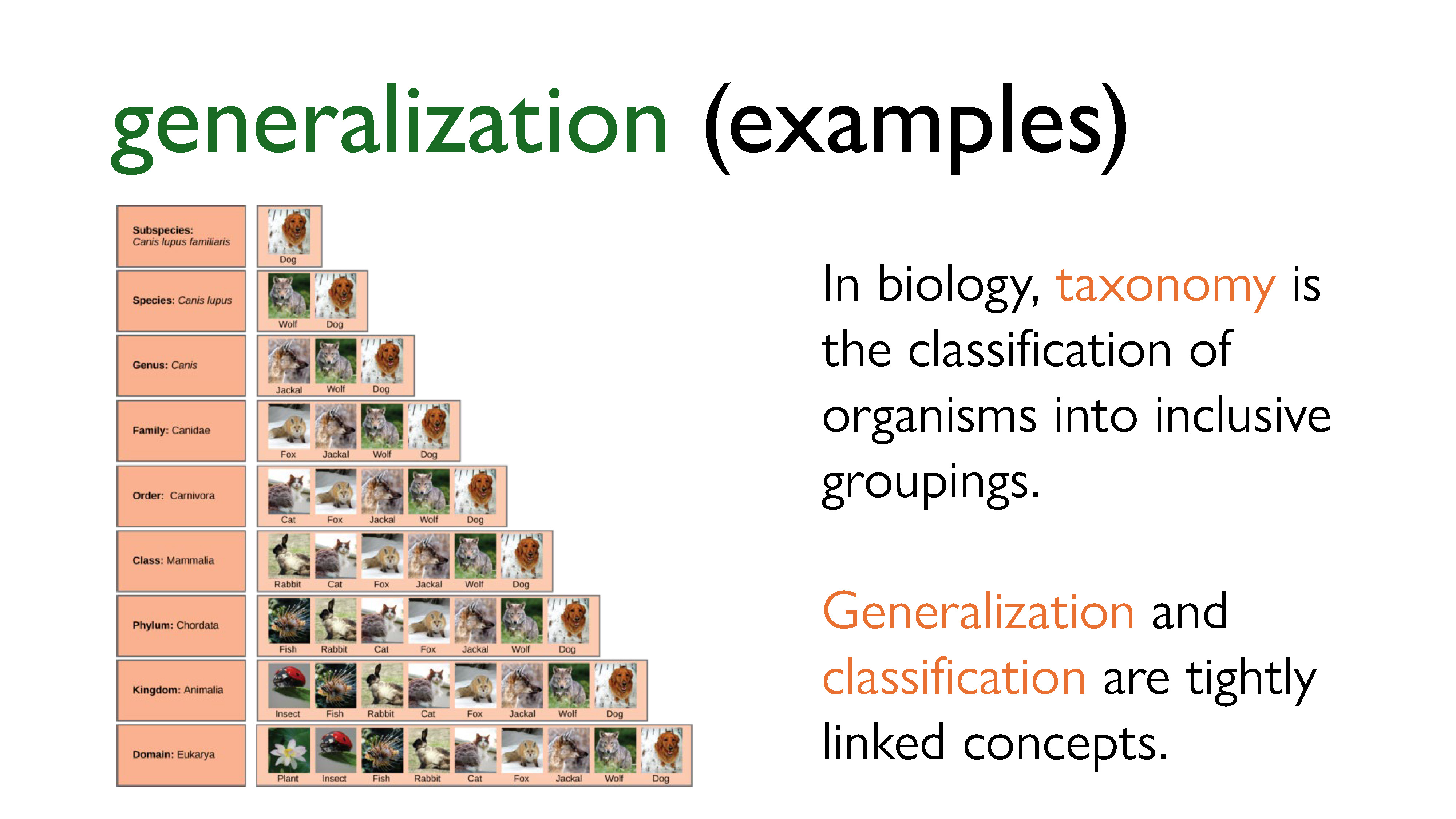 Generalization - Examples 3